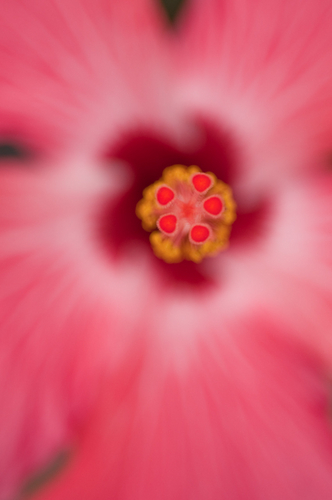 Photography-1085