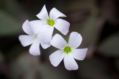 Photography-1073