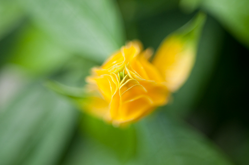 Photography-1092