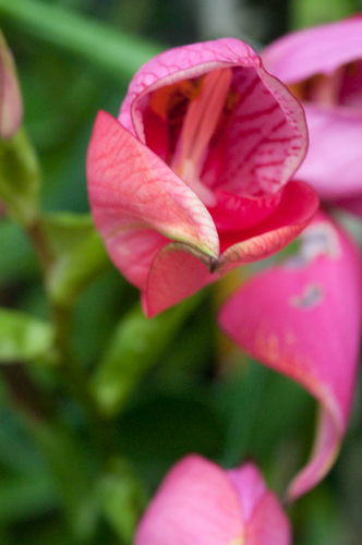 Photography-1128