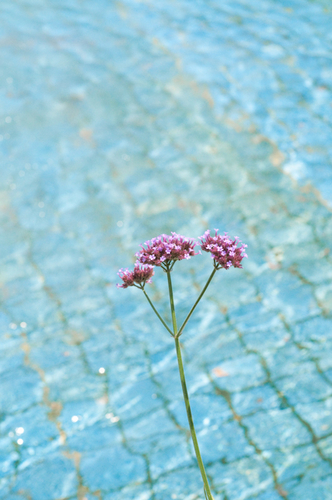 Photography-1137