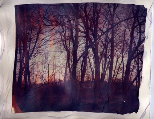 Photography-Untitled-3