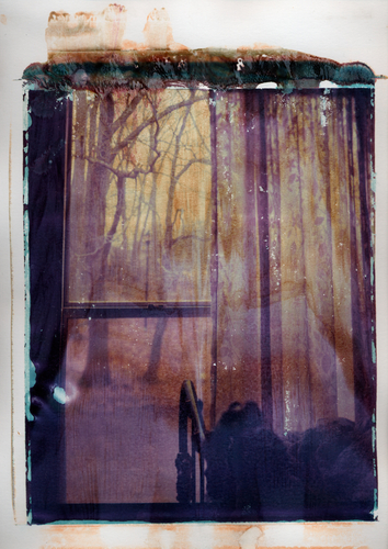 Photography-Untitled-5