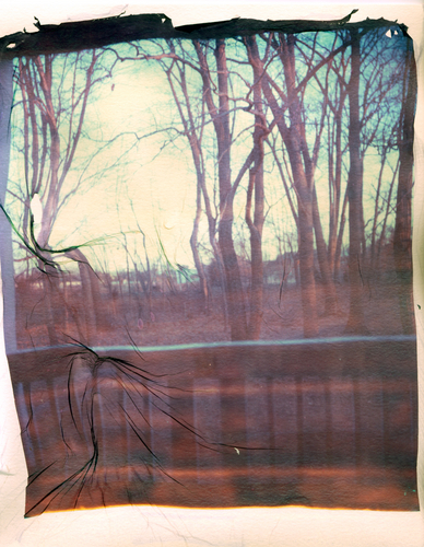 Photography-Untitled-7