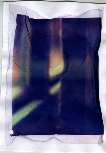 Photography-Untitled 16