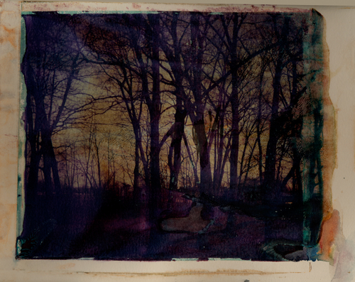 Photography-Untitled 40