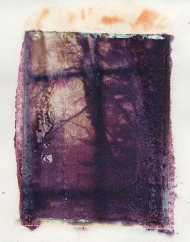 Photography-Untitled 49