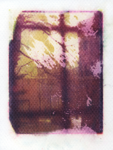 Photography-Untitled 51