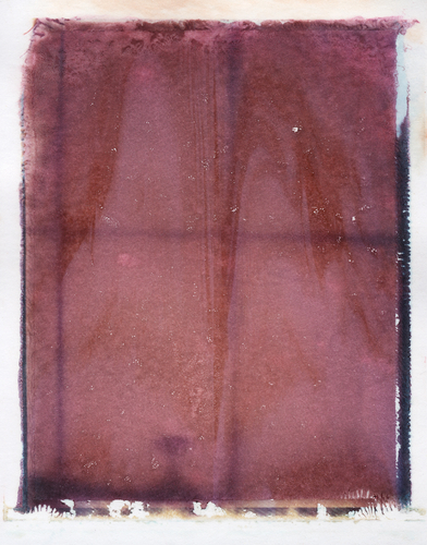 Photography-Untitled 52