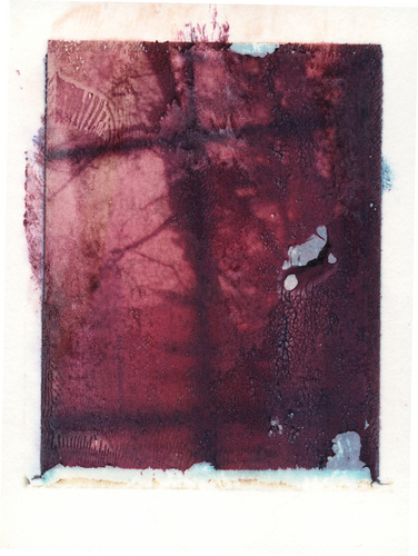 Photography-Untitled 57