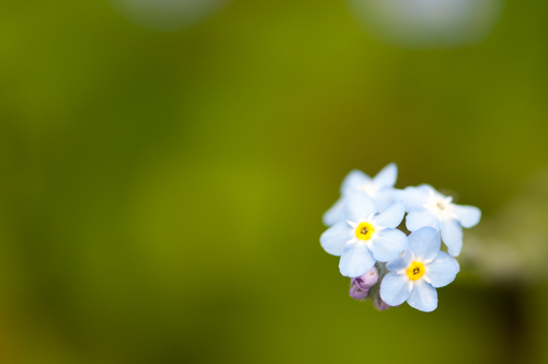 Photography-May #0736
