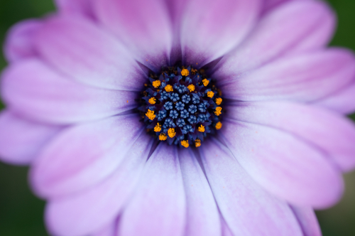 Photography-May #0941