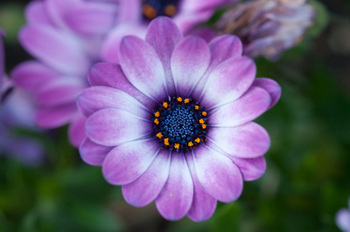 Photography-May #0943