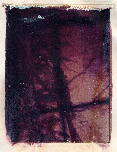 Photography-untitled 1
