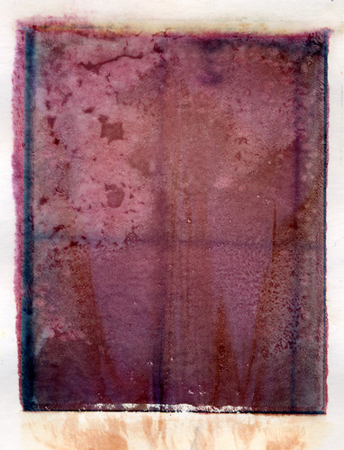 Photography-untitled 3