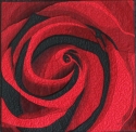 Red%20Rose (thumbnail)