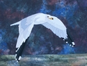 Flight (thumbnail)