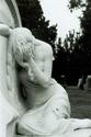 Tristeza