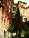 Eze161