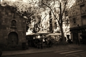 Barcelona565