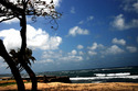 HawaiiBeach 1
