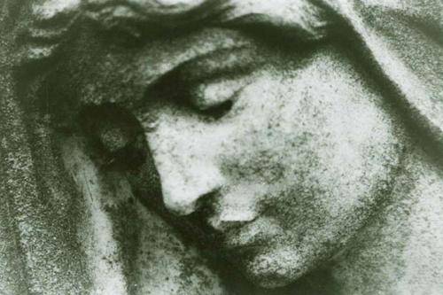 Angel Face 1