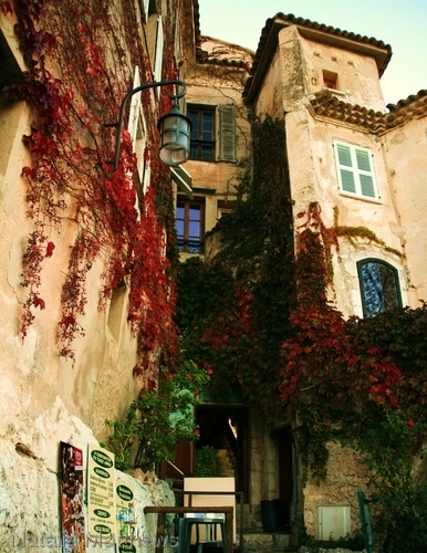 Eze161