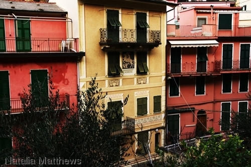 Cinque Terre 31