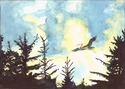 Heron%20Surprised (thumbnail)