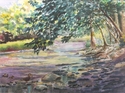 Fall Creek near Lower Creek Rd Fall%20Creek%20near%20Lower%20Creek%20Rd (thumbnail)
