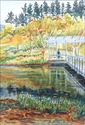 Houston Pond, Cornell Plantations Houston%20Pond%2C%20Cornell%20Plantations (thumbnail)