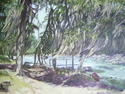 Shannon Rapids