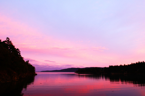 Digital Art-Purple Sky