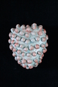 Seed%20Pod%2FPrickly%20Heart (thumbnail)