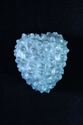 Seed%20Pod%2FPrickly%20Heart (thumbnail)
