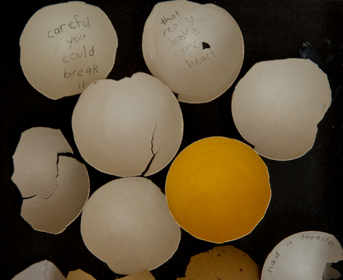 eggshell%20project%201%2C%20ongoing%2C%202010-2011 (large view)
