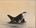 Waldo%20the%20Whale (thumbnail)