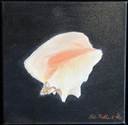 Bit%20of%20Sealife (thumbnail)