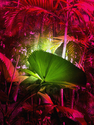 Digital Art-Breakfast In The Jungle