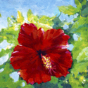 Painting--Acrylic-BotanicalHibiscus
