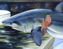The Catch