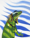 Painting--Acrylic-AnimalsThe Iguana