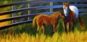 Painting--Acrylic-AnimalsKatonah Horses