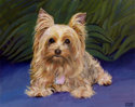 Painting--Acrylic-Animalslittle blu