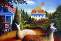 Block Island Llamas