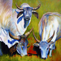 Blue Brahmans