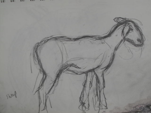 Drawing-Animals-Goat