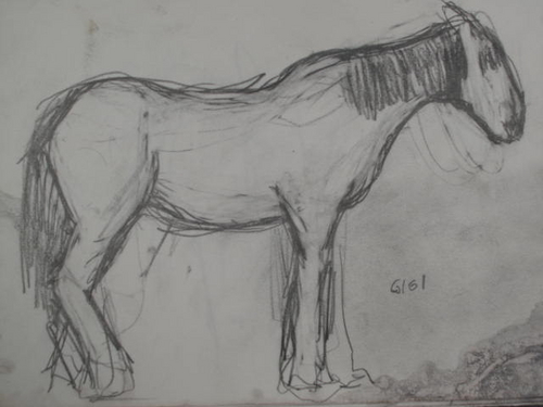 Drawing-Animals-Horse