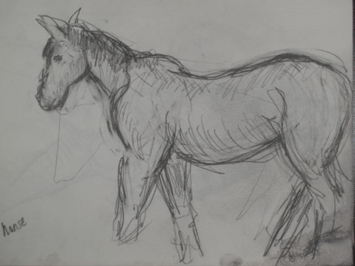 Drawing-Animals-Horse