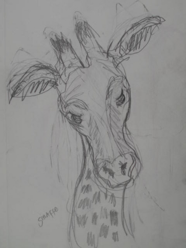 Drawing-Portrait-Giraffe